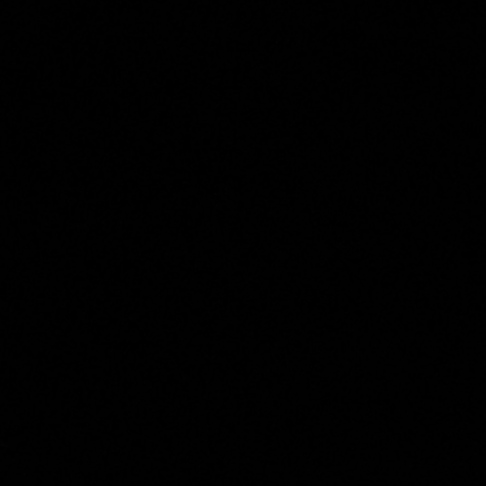 Meet your Posher, Braulio